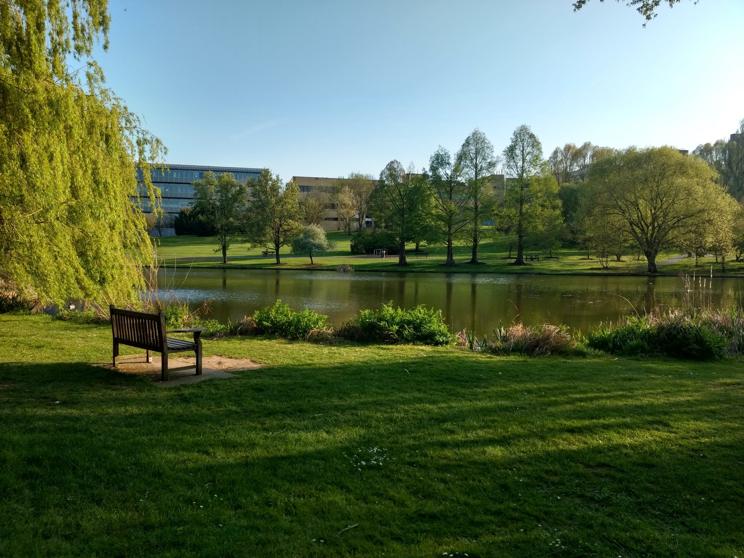 Surrey Conference 2023: Research Presentation on Transformative Event Design